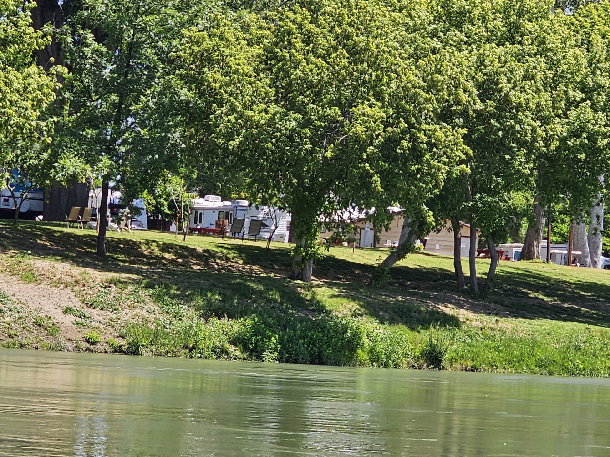 A grassy riverbank with lush green trees, RVs, and parked vehicles visible among the trees on a sunny day. The river is calm, reflecting the greenery along the shoreline.