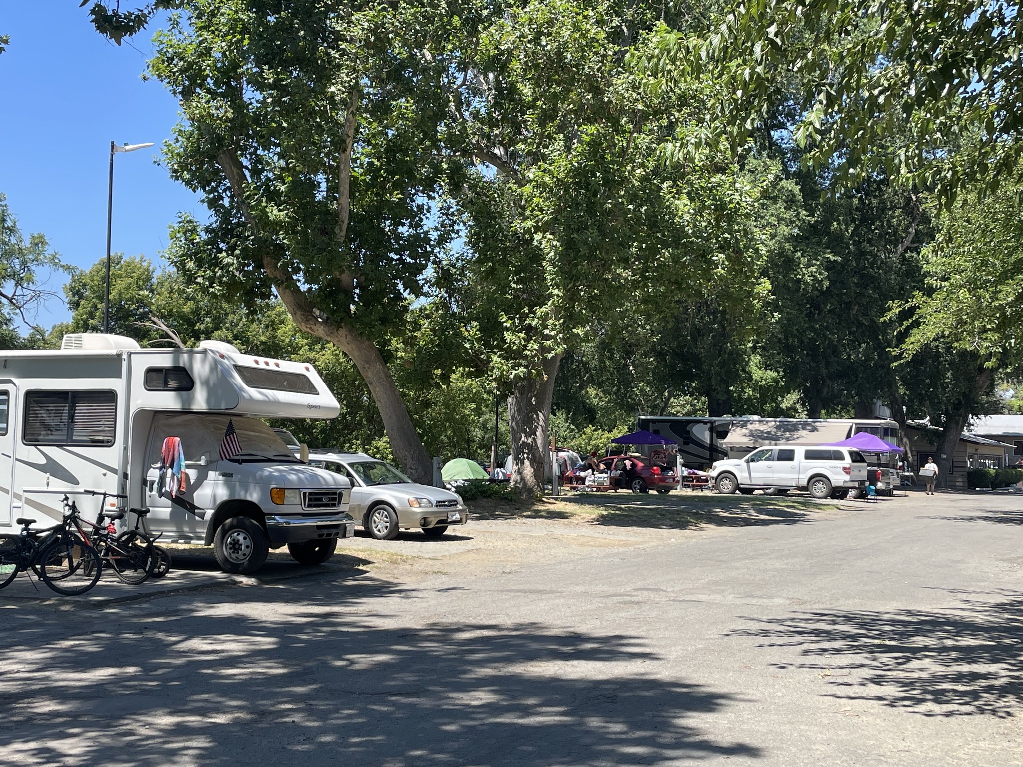 Several RVs, tents, and vehicles are parked under large trees at a sunny campground, with people gathered around a picnic table in the background.