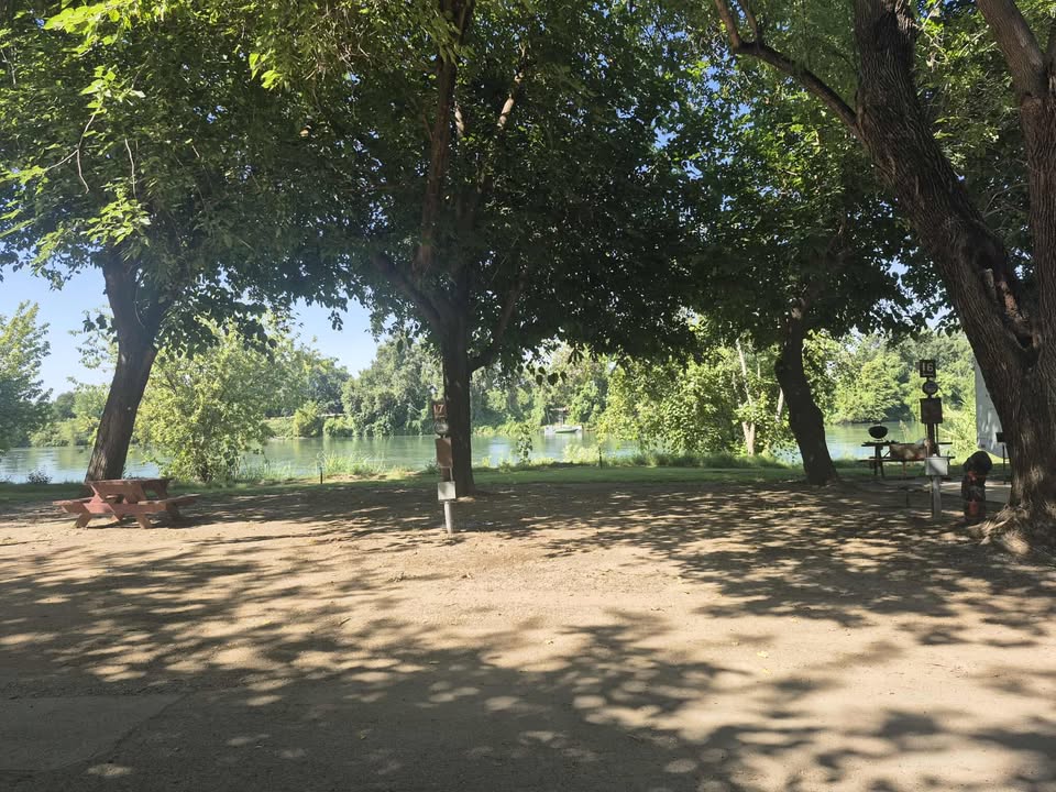 Shaded picnic area with benches and barbecue grills under large trees near a calm river on a sunny day.